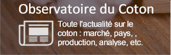 Observatoire du Coton en Afrique de l'Ouest - Toute l'actualité sur le coton : marché, pays, , production, analyse, etc. 